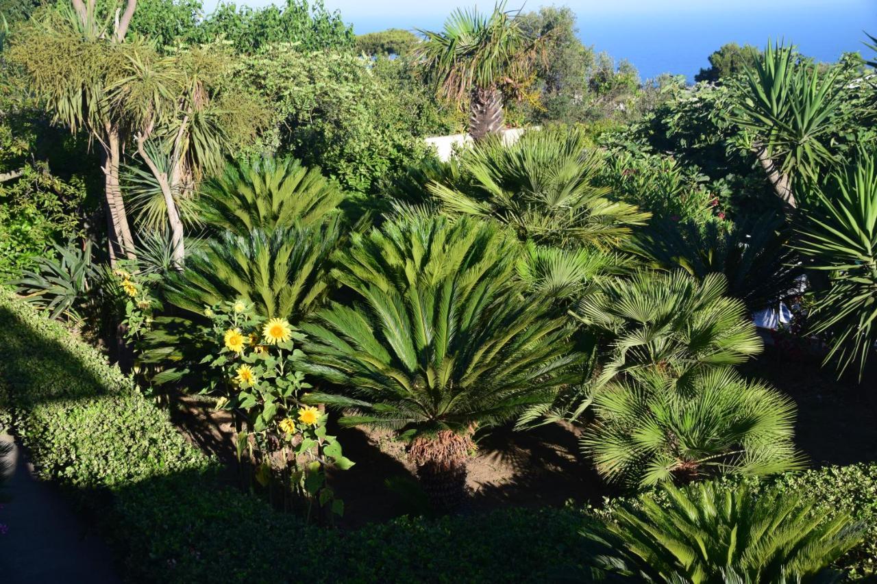 Oasi Di Villa Damecuta Anacapri  Exteriér fotografie